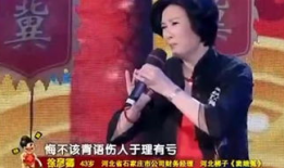 窦娥冤 电视剧,悲情女子与冤案传奇的悲歌